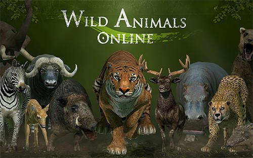 download Wild animals online apk